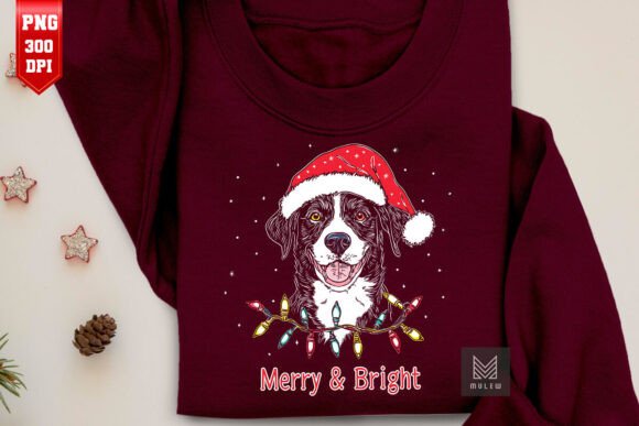 Christmas Australian Shepherd Dog PNG